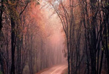 bwin入口:2026年美加墨世界杯亞洲區預選賽賽制.