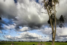 bwin在线:3-1!前国乒女将非洲夺冠,女团决赛独得两分,赛后疯狂庆祝.