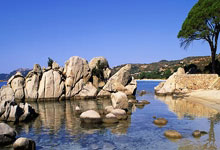 bwin在线:賴斯當選阿森納球迷票選全場最佳球員!.